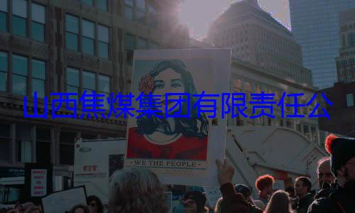 查团有限责任山西焦煤集经理杨新华接受审查调公司原副总